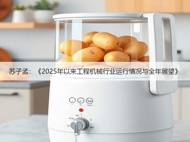 苏子孟:《2025年以来工程机械行业运行情况与全年展望》(图3) 苏子孟:《2025年以来工程机械行业运行情况与全年展望》(图3)