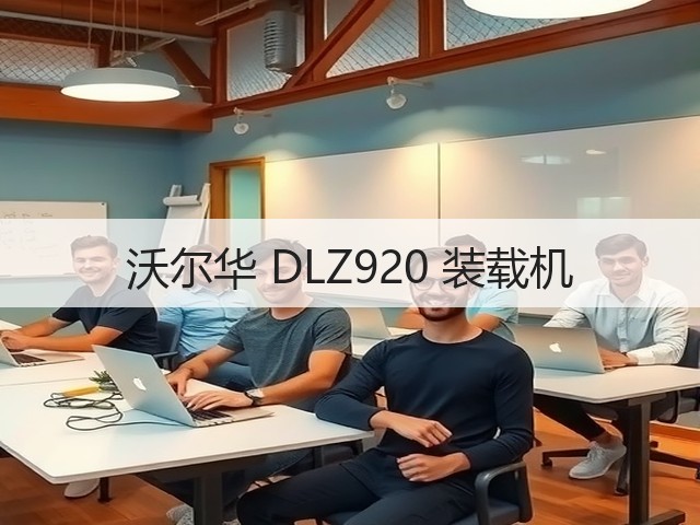 沃尔华 DLZ920 装载机(图1)