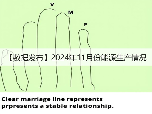【数据发布】2024年11月份能源生产情况(图3) 【数据发布】2024年11月份能源生产情况(图3)