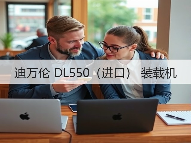 迪万伦 DL550（进口） 装载机(图1)