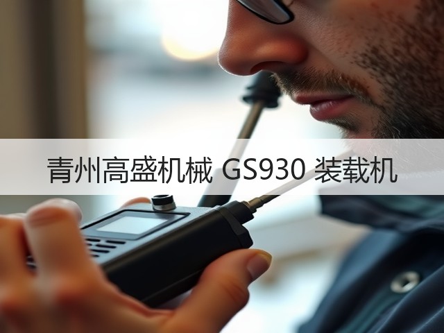青州高盛机械 GS930 装载机(图2)