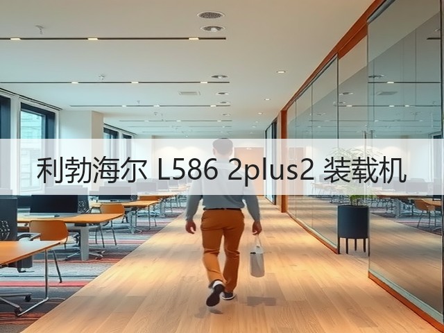利勃海尔 L586 2plus2 装载机(图1)