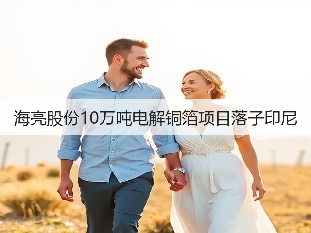 海亮股份10万吨电解铜箔项目落子印尼(图3) 海亮股份10万吨电解铜箔项目落子印尼(图3)