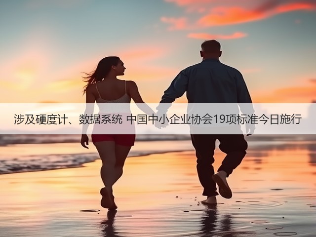 涉及硬度计、数据系统 中国中小企业协会19项标准今日施行(图3) 涉及硬度计、数据系统 中国中小企业协会19项标准今日施行(图3)