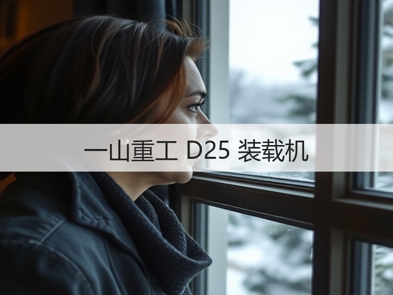 一山重工 D25 装载机