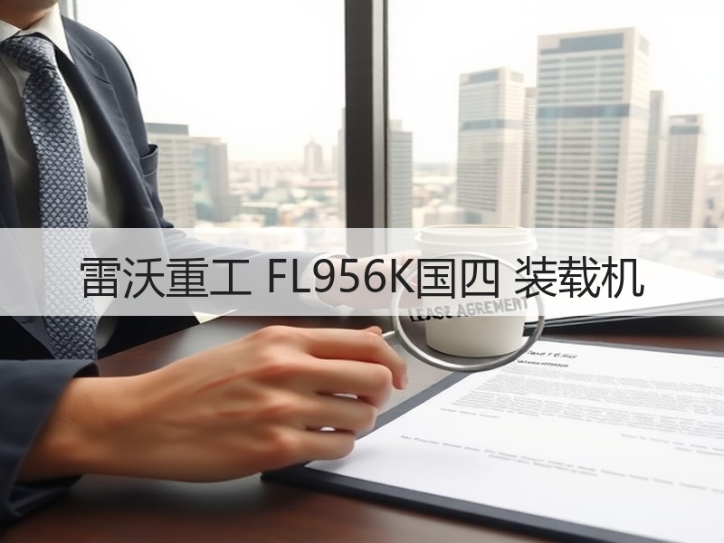 雷沃重工 FL956K国四 装载机 雷沃重工 FL956K国四 装载机