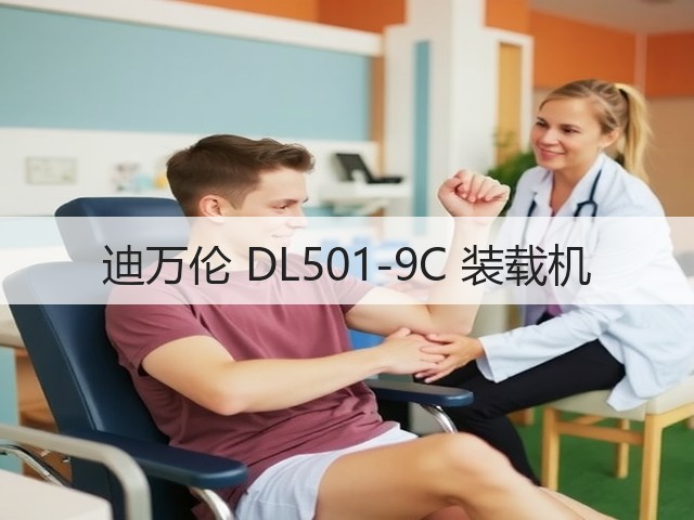 迪万伦 DL501-9C 装载机(图2) 迪万伦 DL501-9C 装载机(图2)