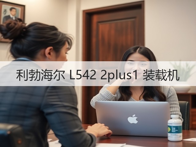 利勃海尔 L542 2plus1 装载机(图3)