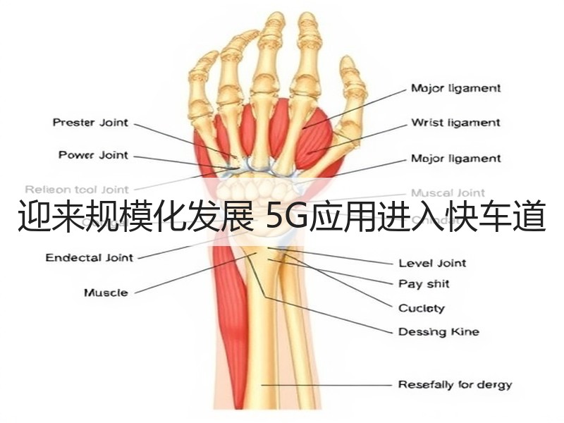 迎来规模化发展 5G应用进入快车道