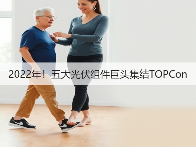 2022年!五大光伏组件巨头集结TOPCon(图2) 2022年!五大光伏组件巨头集结TOPCon(图2)