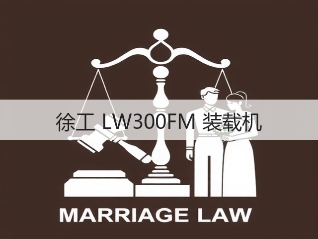 徐工 LW300FM 装载机(图2)