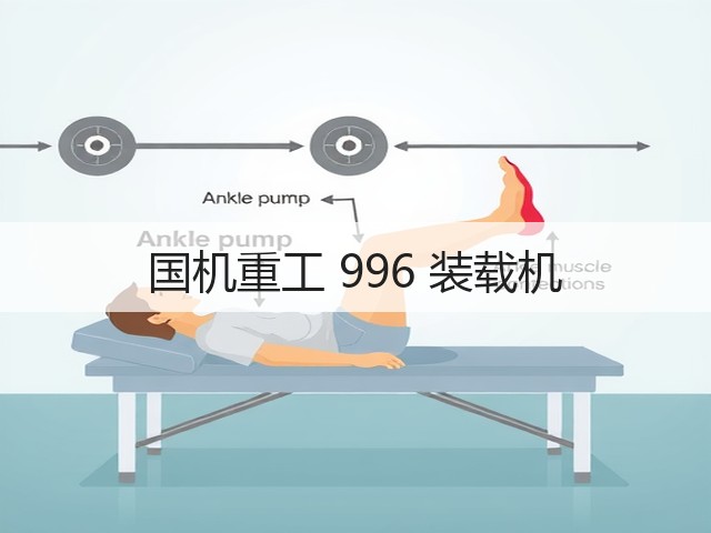 国机重工 996 装载机(图1)