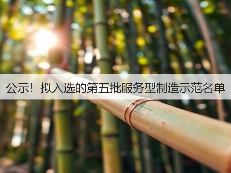公示！拟入选的第五批服务型制造示范名单