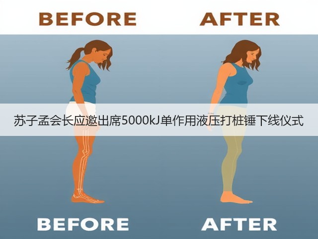 苏子孟会长应邀出席5000kJ单作用液压打桩锤下线仪式(图1)