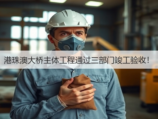 港珠澳大桥主体工程通过三部门竣工验收!(图3) 港珠澳大桥主体工程通过三部门竣工验收!(图3)