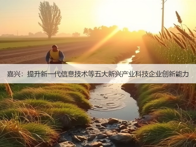 嘉兴：提升新一代信息技术等五大新兴产业科技企业创新能力(图3)