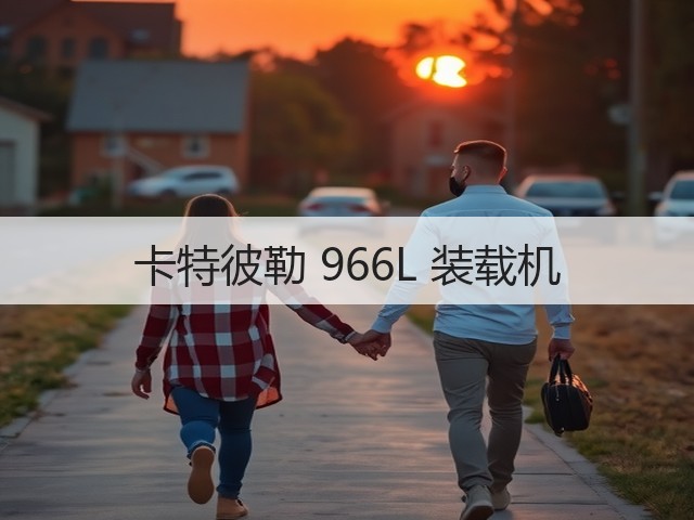 卡特彼勒 966L 装载机(图3)