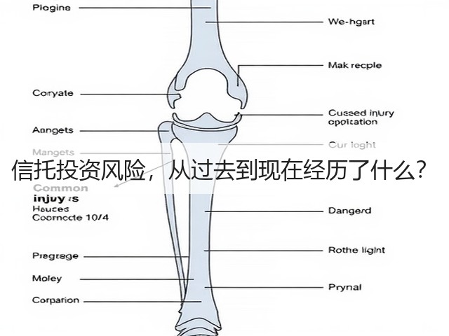 信托投资风险,从过去到现在经历了什么?(图3) 信托投资风险,从过去到现在经历了什么?(图3)