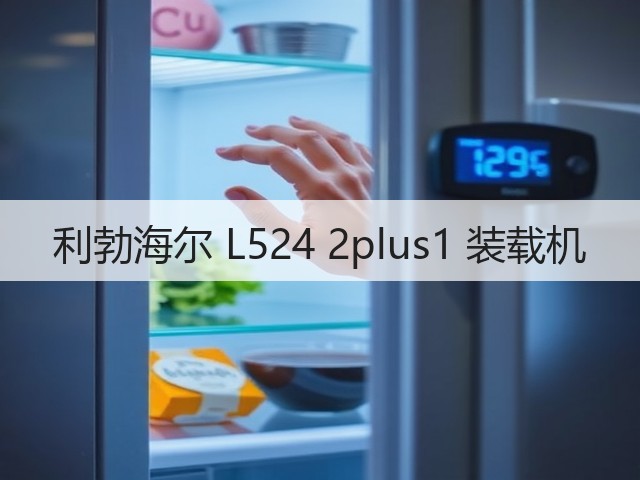 利勃海尔 L524 2plus1 装载机(图2)
