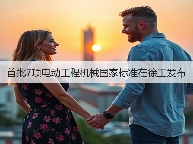 首批7项电动工程机械国家标准在徐工发布(图3) 首批7项电动工程机械国家标准在徐工发布(图3)