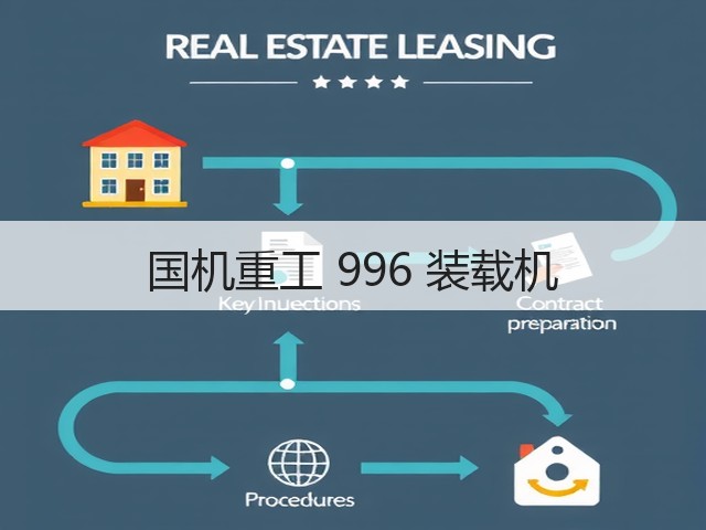 国机重工 996 装载机(图2)