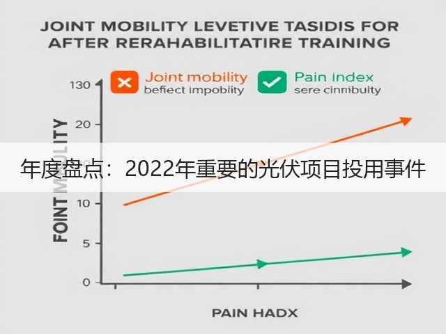 年度盘点：2022年重要的光伏项目投用事件(图3)